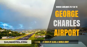 Airlines Serving George Charles Airport: Your Comprehensive Guide