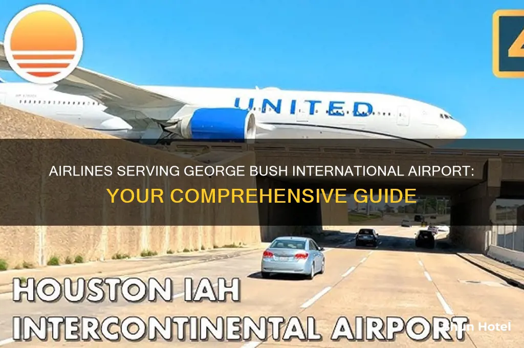 which airlines fly into george bush international airport