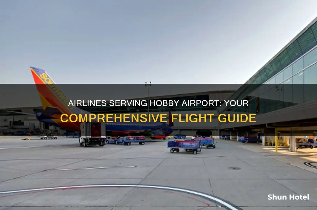 which airlines fly into hobby airport