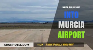 Airlines Serving Murcia Airport: Your Complete Flight Guide