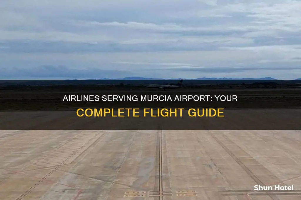 which airlines fly into murcia airport