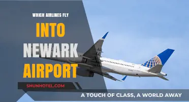 Airlines Serving Newark Airport: Your Comprehensive Guide to Carriers