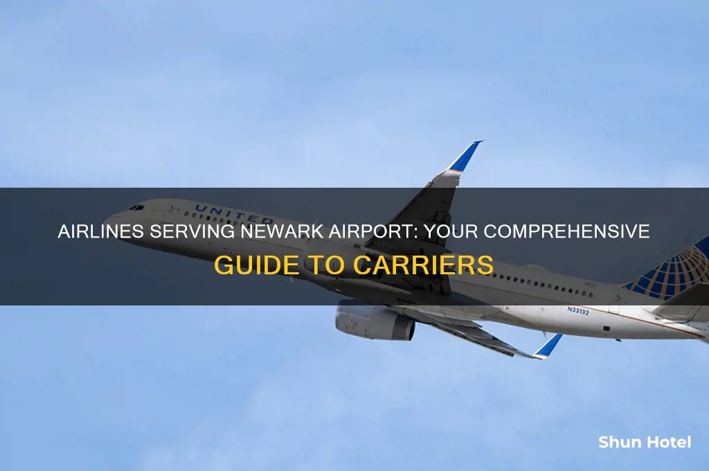 which airlines fly into newark airport