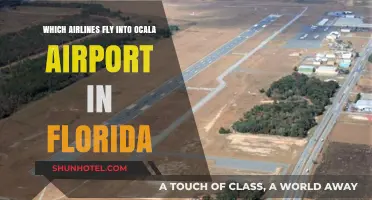 Airlines Serving Ocala Airport: Your Florida Travel Options Revealed