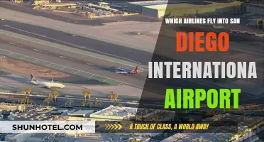 Airlines Serving San Diego: Your Guide to International Airport Flights