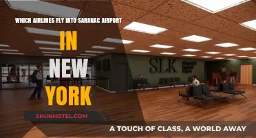 Airlines Serving Saranac Airport: Your New York Travel Guide