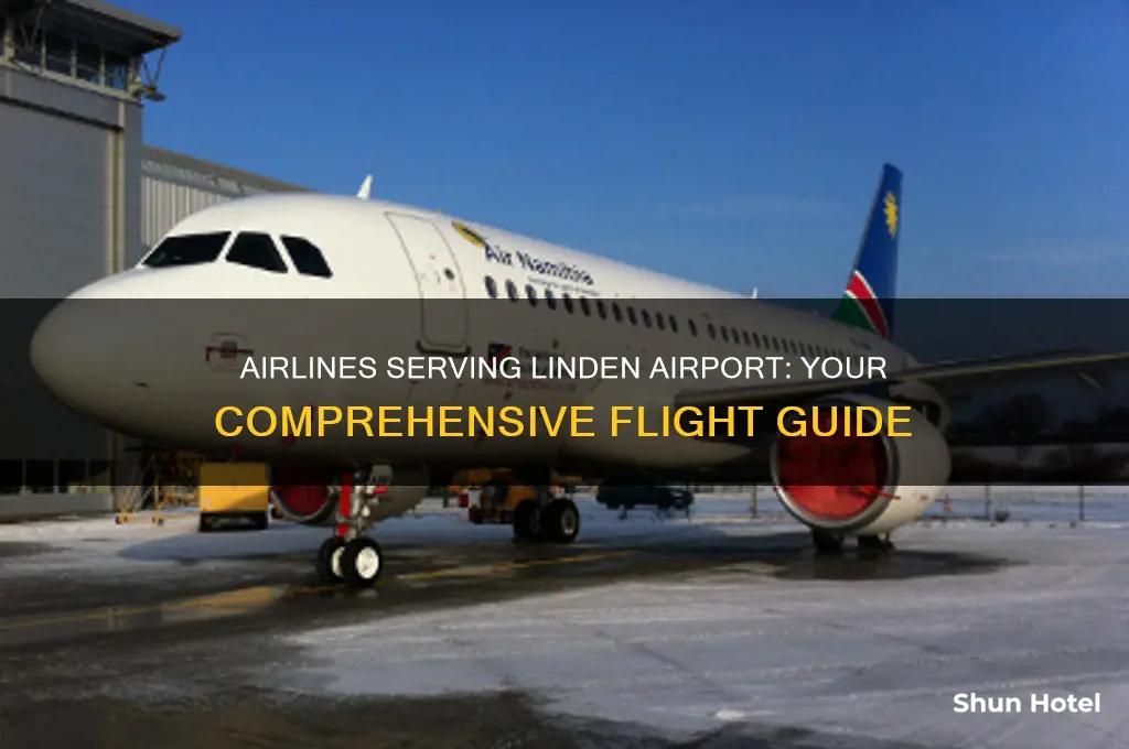 which airlines fly linden airport