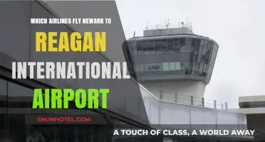 Airlines Offering Newark to Reagan International Airport Flights