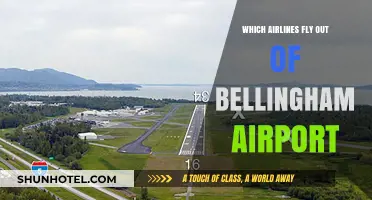 Airlines Operating from Bellingham Airport: Your Comprehensive Flight Guide