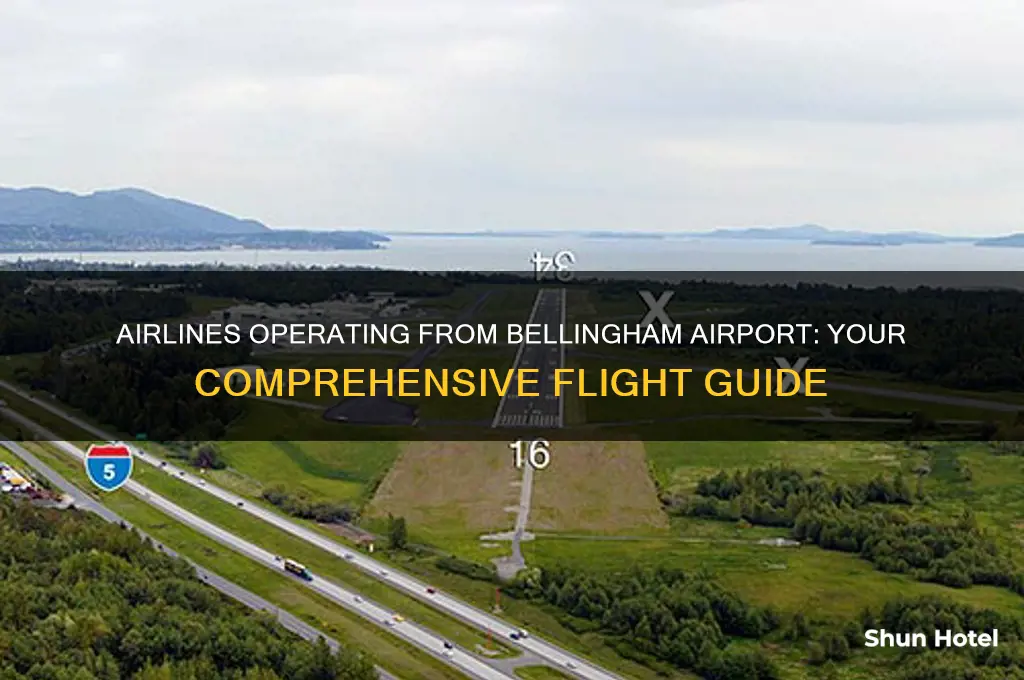 which airlines fly out of bellingham airport