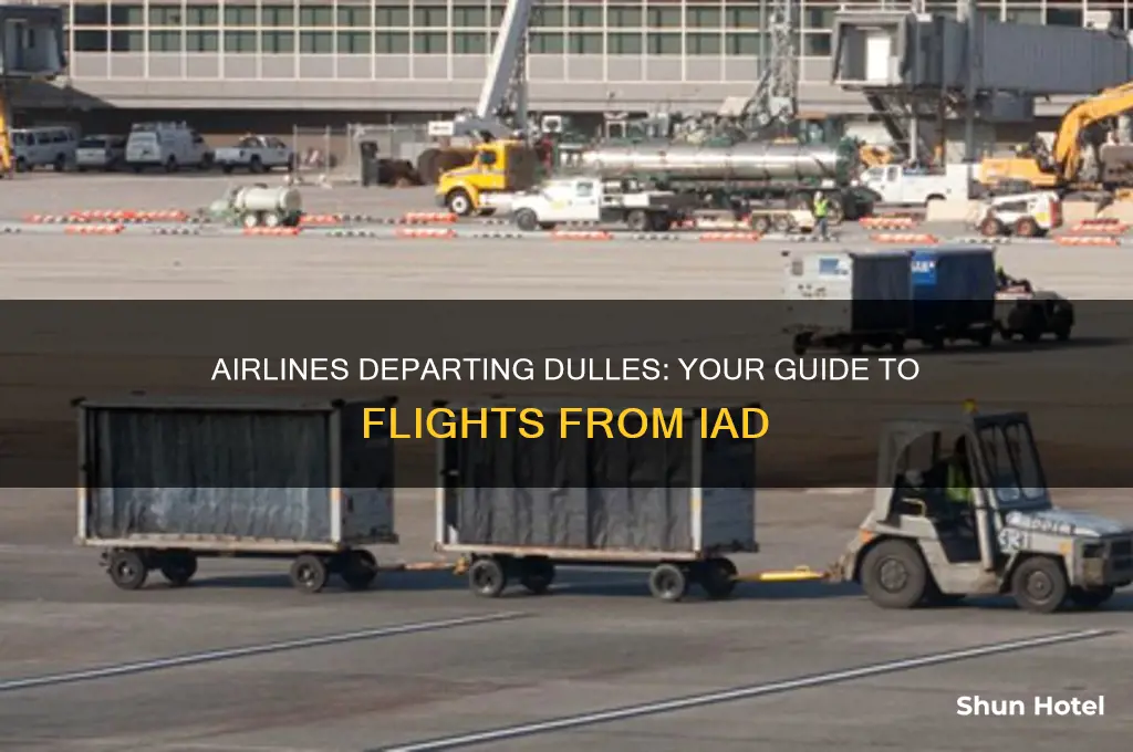 which airlines fly out of dulles airport