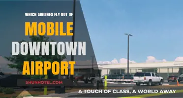 Airlines Operating from Mobile Downtown Airport: Your Complete Guide