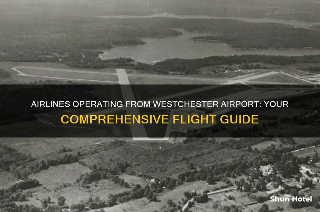 which airlines fly out of westchester airport