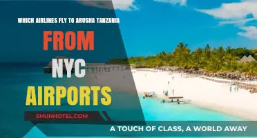 Direct Flights from NYC to Arusha, Tanzania: Your Airline Guide