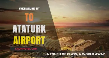 Airlines Serving Ataturk Airport: Your Comprehensive Flight Guide
