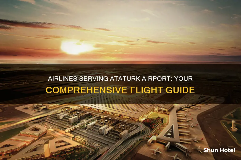 which airlines fly to ataturk airport