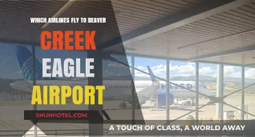 Airlines Serving Beaver Creek: Eagle Airport Flight Options Revealed