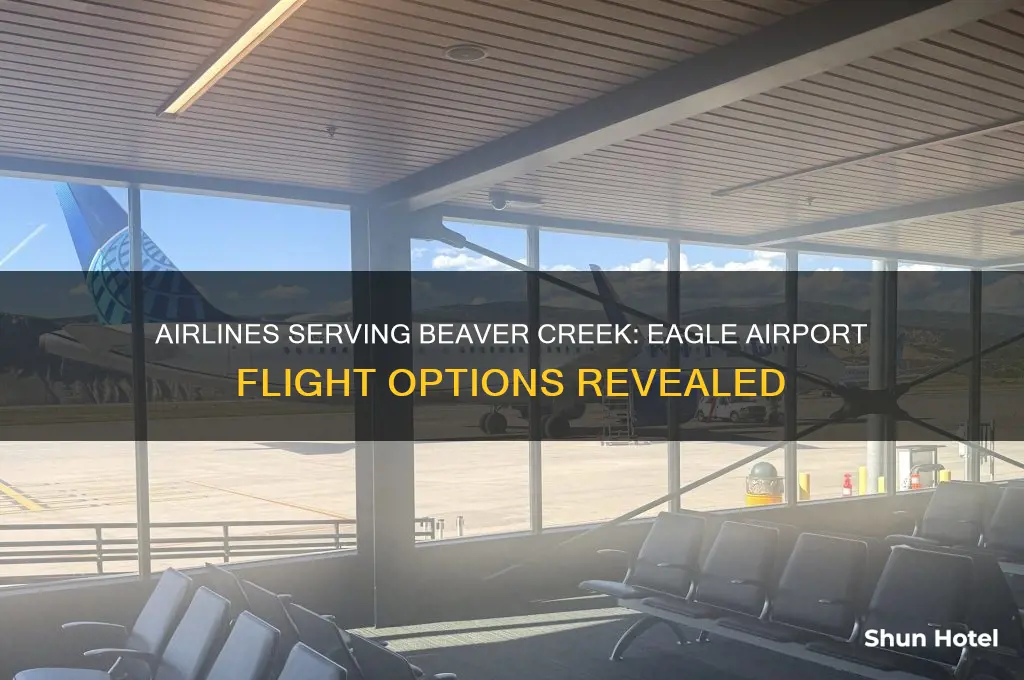 which airlines fly to beaver creek eagle airport