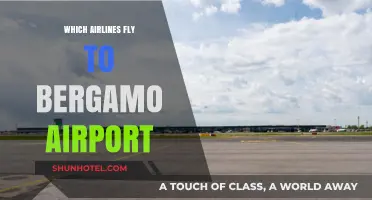 Airlines Serving Bergamo Airport: Your Comprehensive Flight Guide