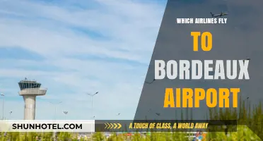 Airlines Serving Bordeaux Airport: Your Comprehensive Flight Guide