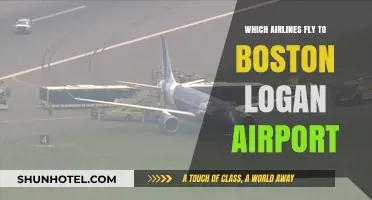 Airlines Serving Boston Logan: Your Comprehensive Flight Guide