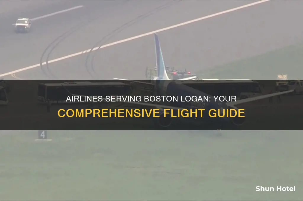 which airlines fly to boston logan airport