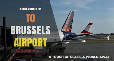 Airlines Serving Brussels Airport: Your Comprehensive Flight Guide