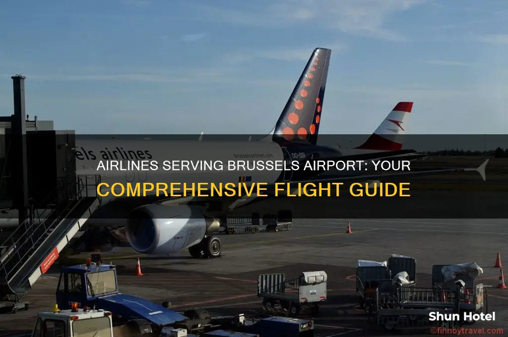 which airlines fly to brussels airport