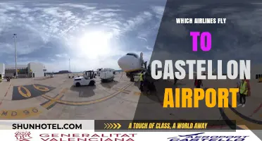 Airlines Serving Castellon Airport: Your Comprehensive Flight Guide
