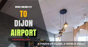 Airlines Serving Dijon Airport: Your Comprehensive Flight Guide