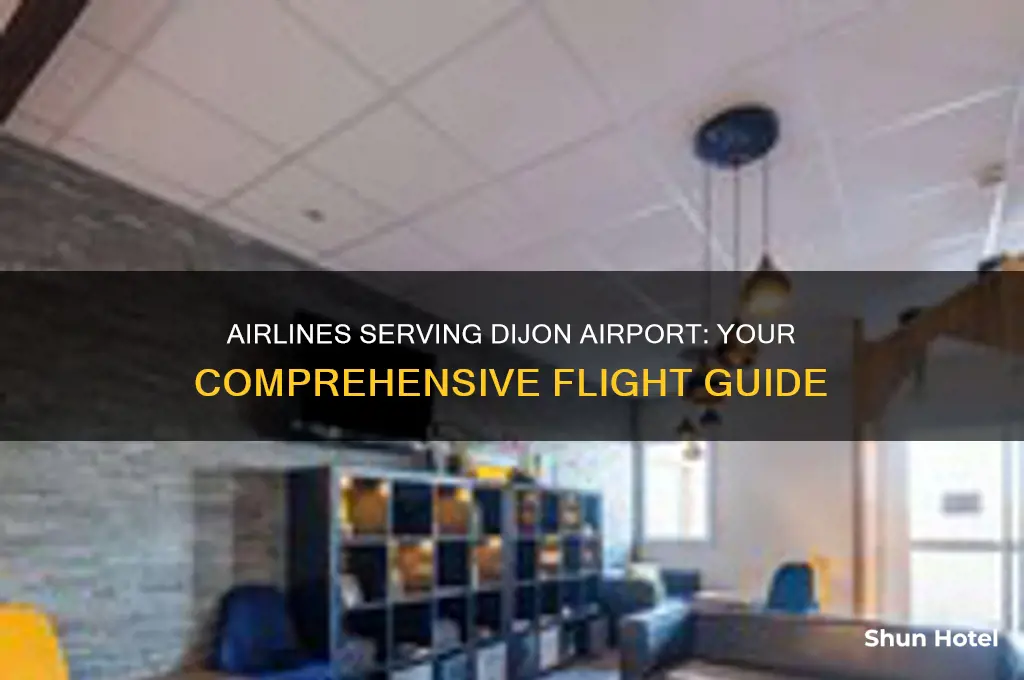 which airlines fly to dijon airport