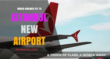 Airlines Serving Istanbul's New Airport: Your Comprehensive Travel Guide