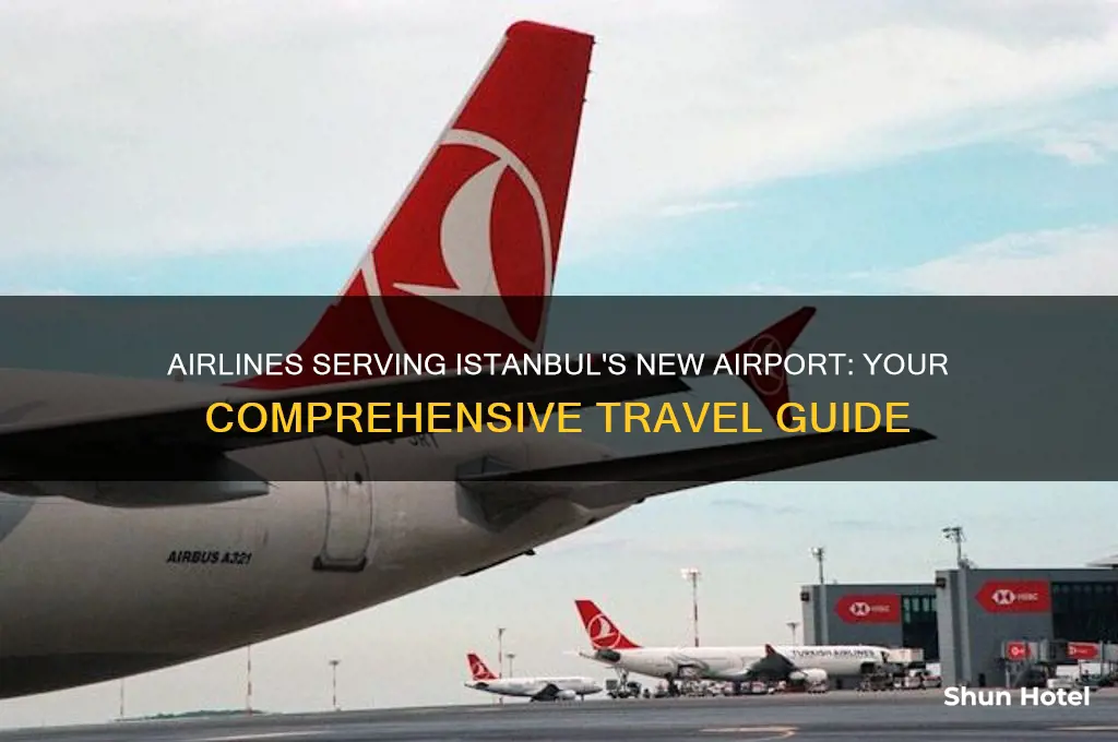 which airlines fly to istanbul new airport