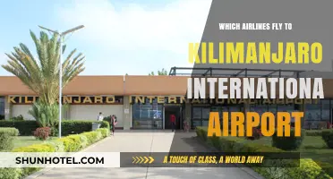 Airlines Serving Kilimanjaro International Airport: Your Ultimate Travel Guide