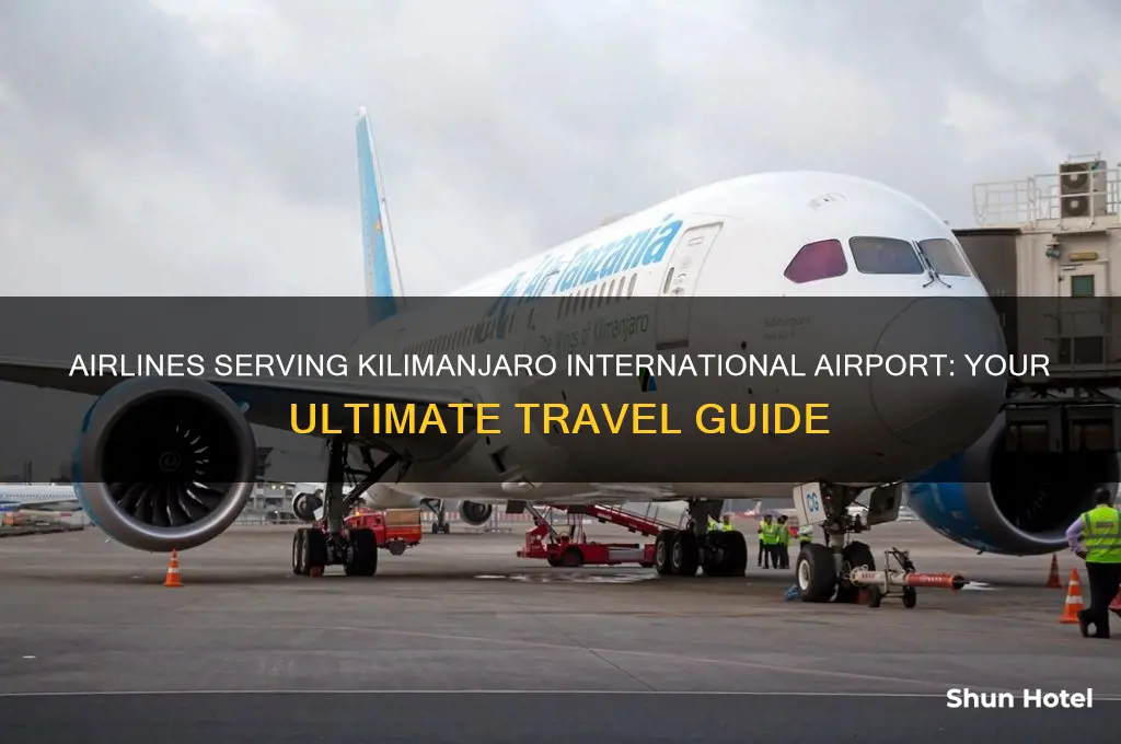 which airlines fly to kilimanjaro international airport