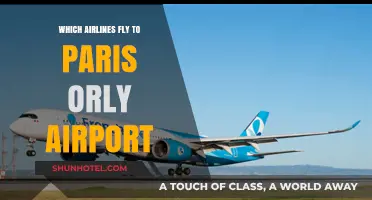 Airlines Serving Paris Orly: Your Comprehensive Flight Guide
