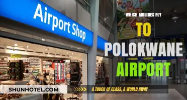 Airlines Serving Polokwane Airport: Your Comprehensive Flight Guide
