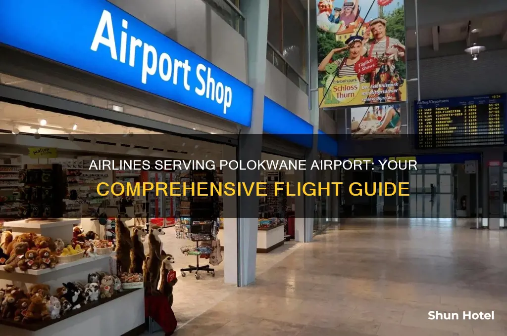 which airlines fly to polokwane airport