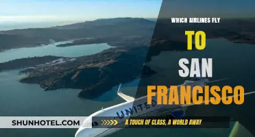 Top Airlines Offering Flights to San Francisco: Your Ultimate Guide
