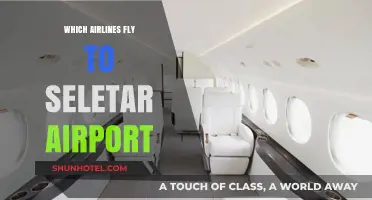 Airlines Serving Seletar Airport: Your Comprehensive Flight Guide