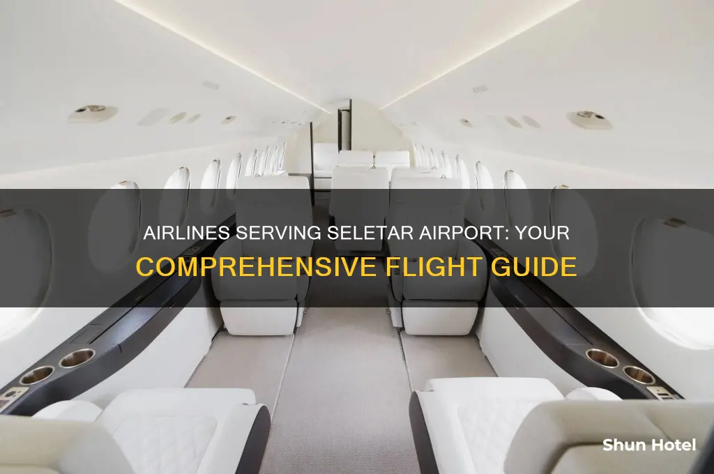 which airlines fly to seletar airport