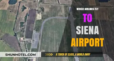 Discover Airlines Serving Siena Airport: Your Ultimate Travel Guide