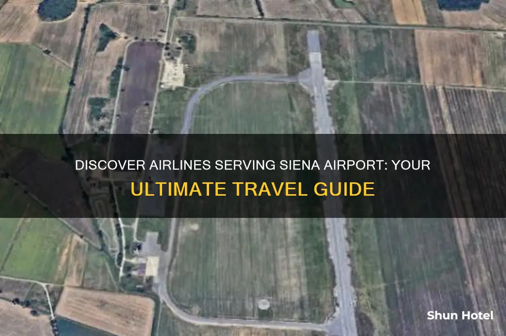 which airlines fly to siena airport