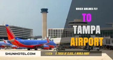 Airlines Serving Tampa Airport: Your Comprehensive Flight Guide