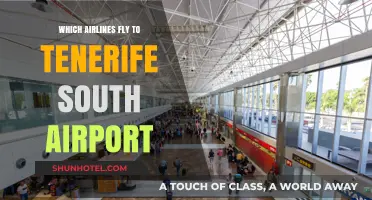 Airlines Serving Tenerife South Airport: Your Comprehensive Flight Guide