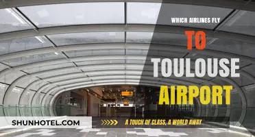 Discover Airlines Offering Flights to Toulouse Airport: A Comprehensive Guide