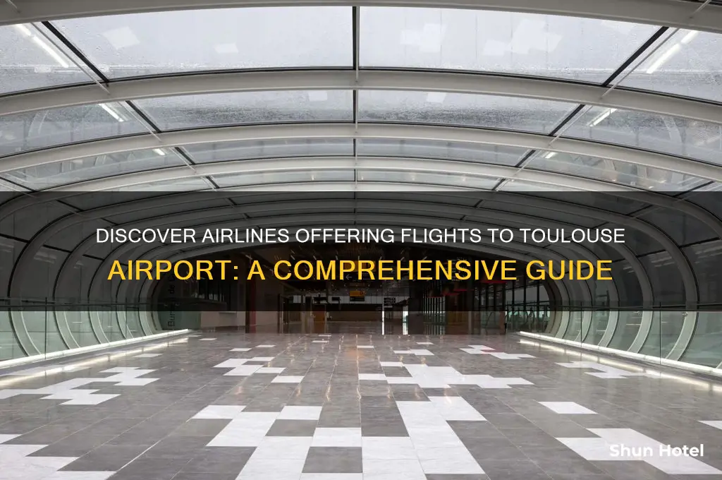 which airlines fly to toulouse airport