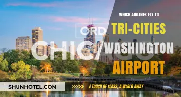 Airlines Serving Tri-Cities Washington Airport: Your Complete Flight Guide