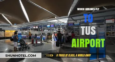 Airlines Serving TUS Airport: Your Complete Guide to Flights