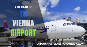 Airlines Serving Vienna Airport: Your Comprehensive Flight Guide